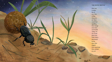 In the Desert US - Hardback