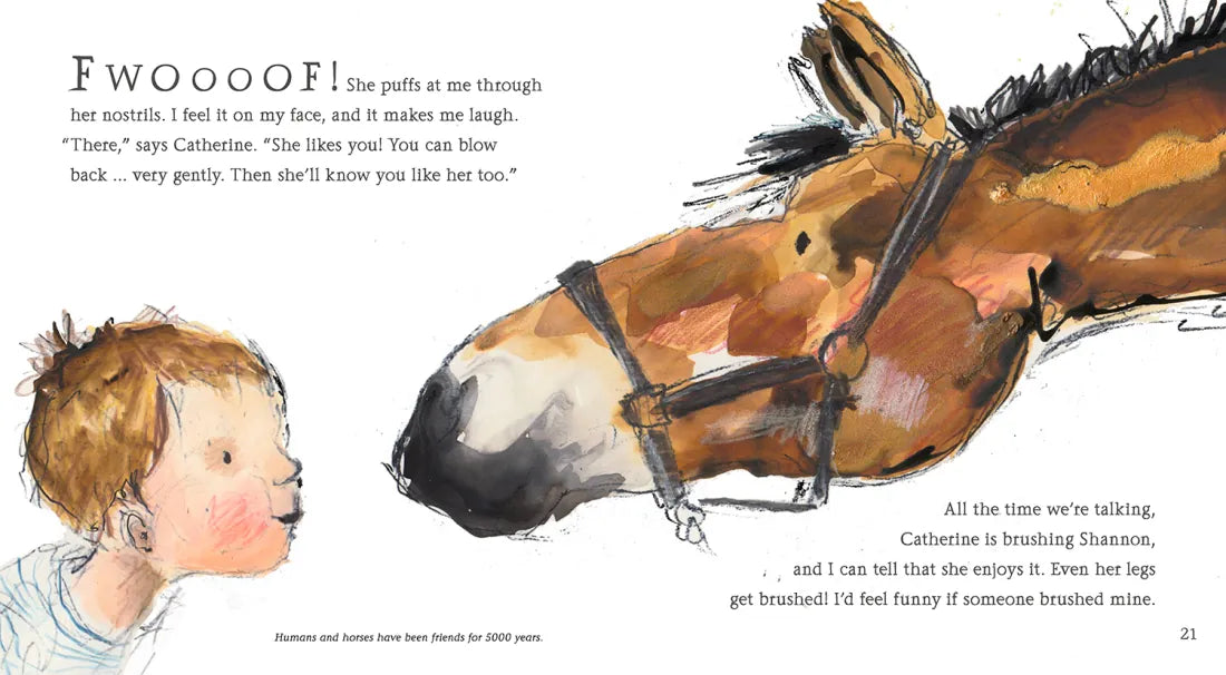 Hello, Horse US - Paperback / softback