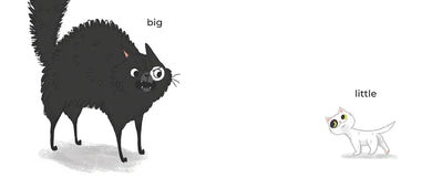 Kitty and Cat: Opposites Attract US - Hardback