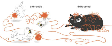 Kitty and Cat: Opposites Attract US - Hardback