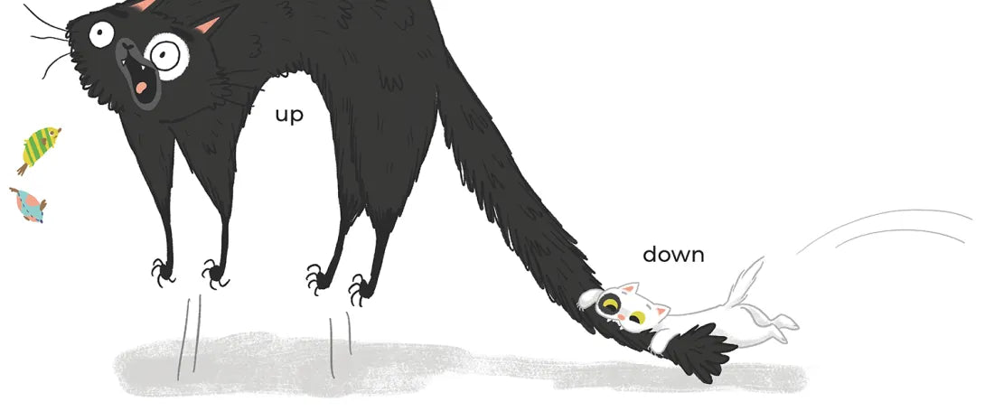 Kitty and Cat: Opposites Attract US - Hardback
