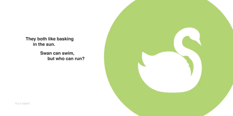 Illusions in Art: Animals US - Board book