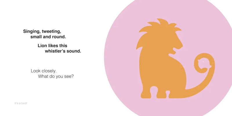 Illusions in Art: Animals US - Board book