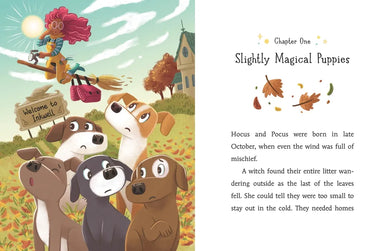 Hocus and Pocus and the Spell for Home US - Hardback