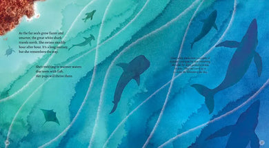 Great White Shark US - Hardback