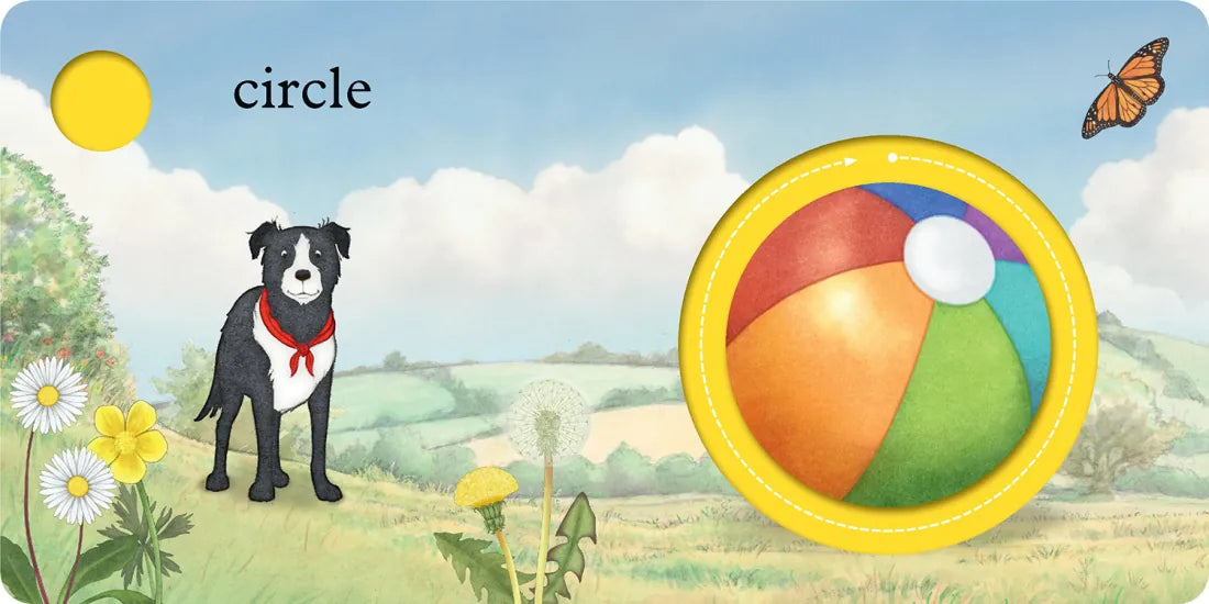 We're Going on a Bear Hunt: My First Shapes US - Board book