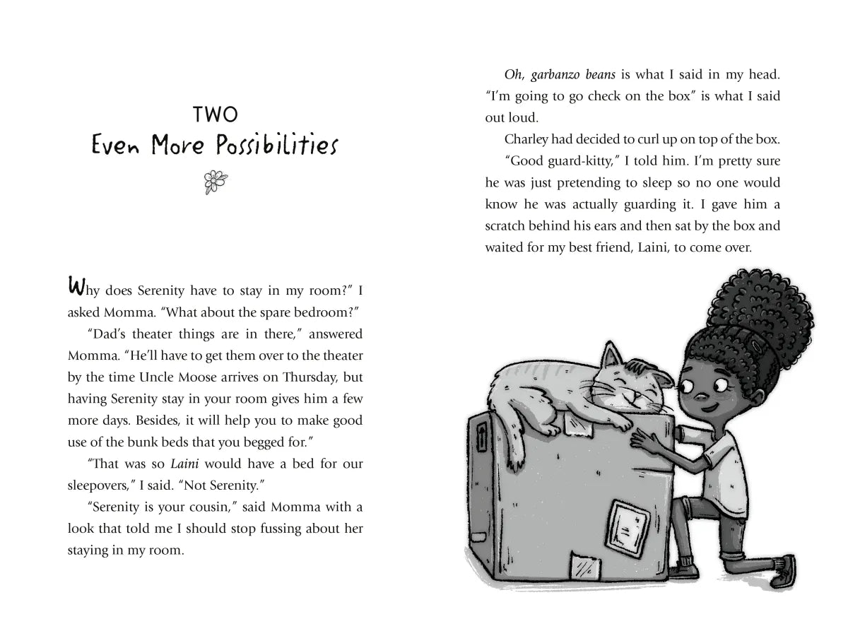 Rica Baptista: The Box of Possibilities US - Hardback