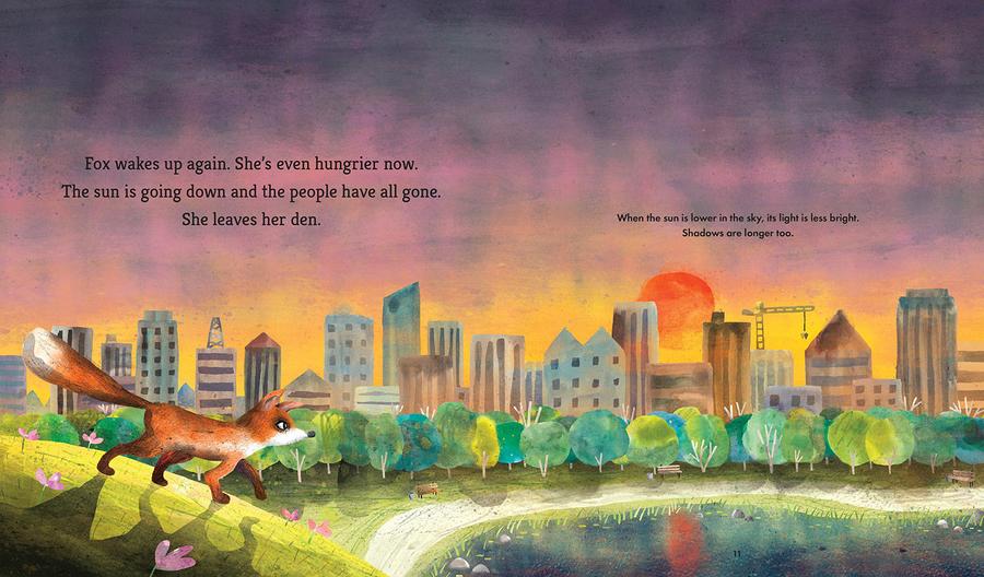 Fox Explores the Night: A First Science Storybook US - Paperback / softback