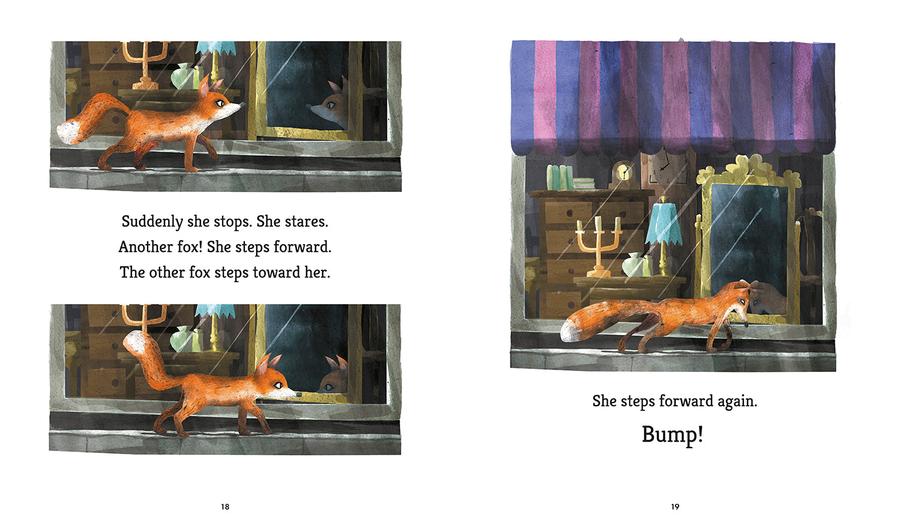 Fox Explores the Night: A First Science Storybook US - Paperback / softback