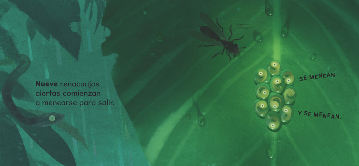 Una ranita arbórea: Contando hasta sobrevivir interior 1 (ISBN 9781536228021)