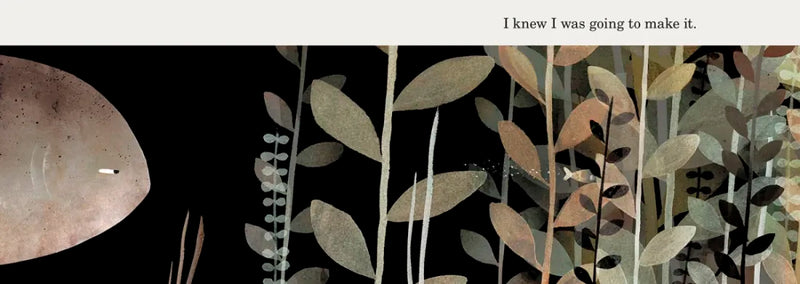 This Is Not My Hat US - Board book