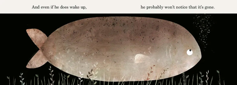 This Is Not My Hat US - Board book