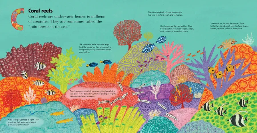 A Is for Australian Reefs US - Hardback