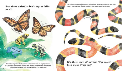 Find Out About Animal Camouflage US - Hardback