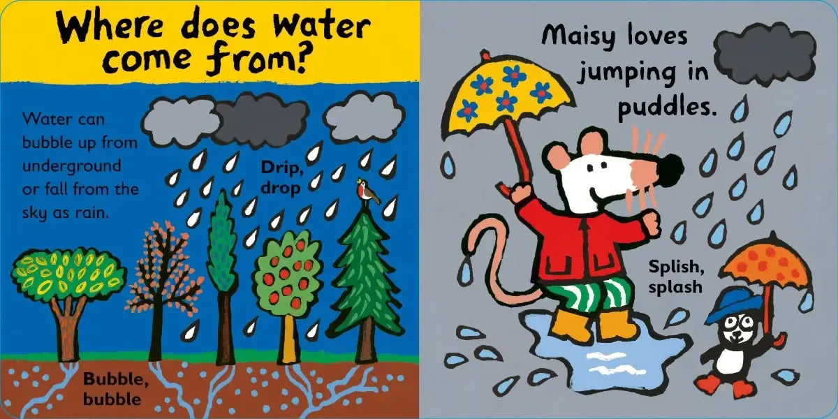 Maisy Loves Water US - Board book