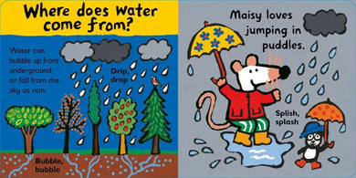 Maisy Loves Water US - Board book