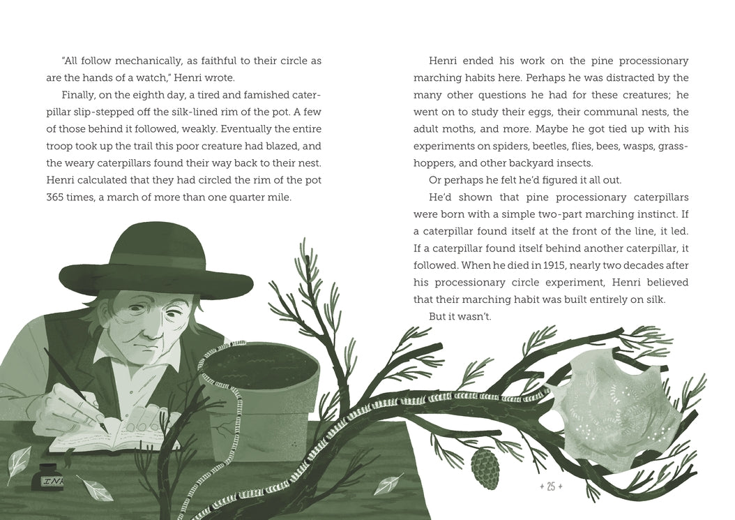 One Long Line: Marching Caterpillars and the Scientists Who Followed Them US - Hardback