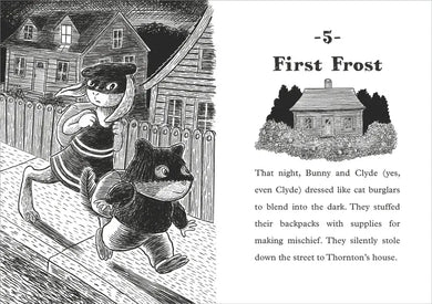 Bunny and Clyde US - Hardback