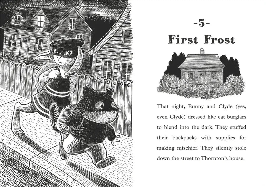 Bunny and Clyde US - Hardback