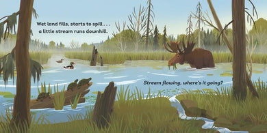 River's Journey US - Board book