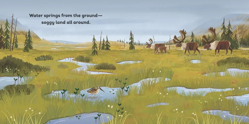 River's Journey US - Board book