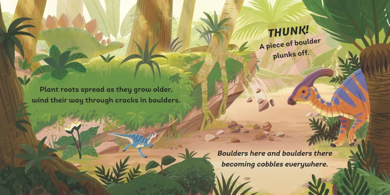 Rocks' Journey US - Board book