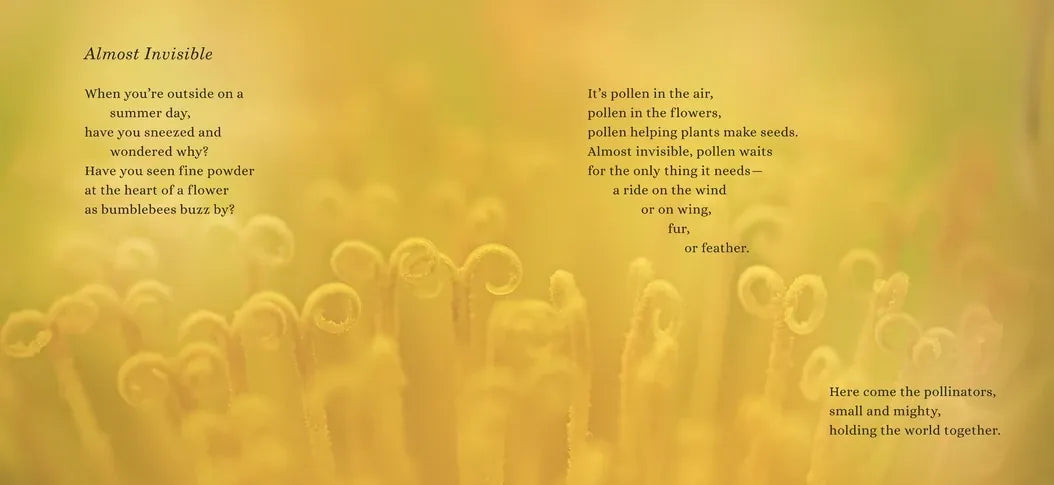 The Mighty Pollinators US - Hardback