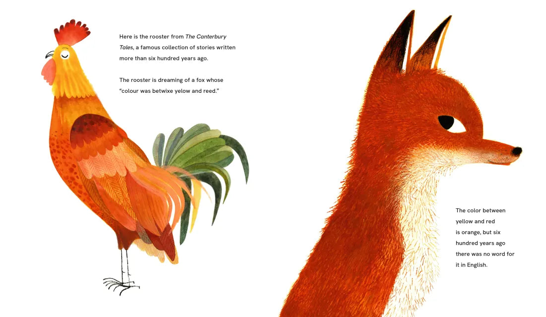 This Is Orange: A Field Trip Through Color US - Hardback