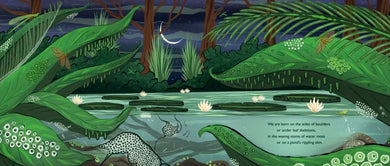 When You See Us: The Mysterious World of Aquatic Insects US - Hardback
