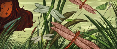 When You See Us: The Mysterious World of Aquatic Insects US - Hardback