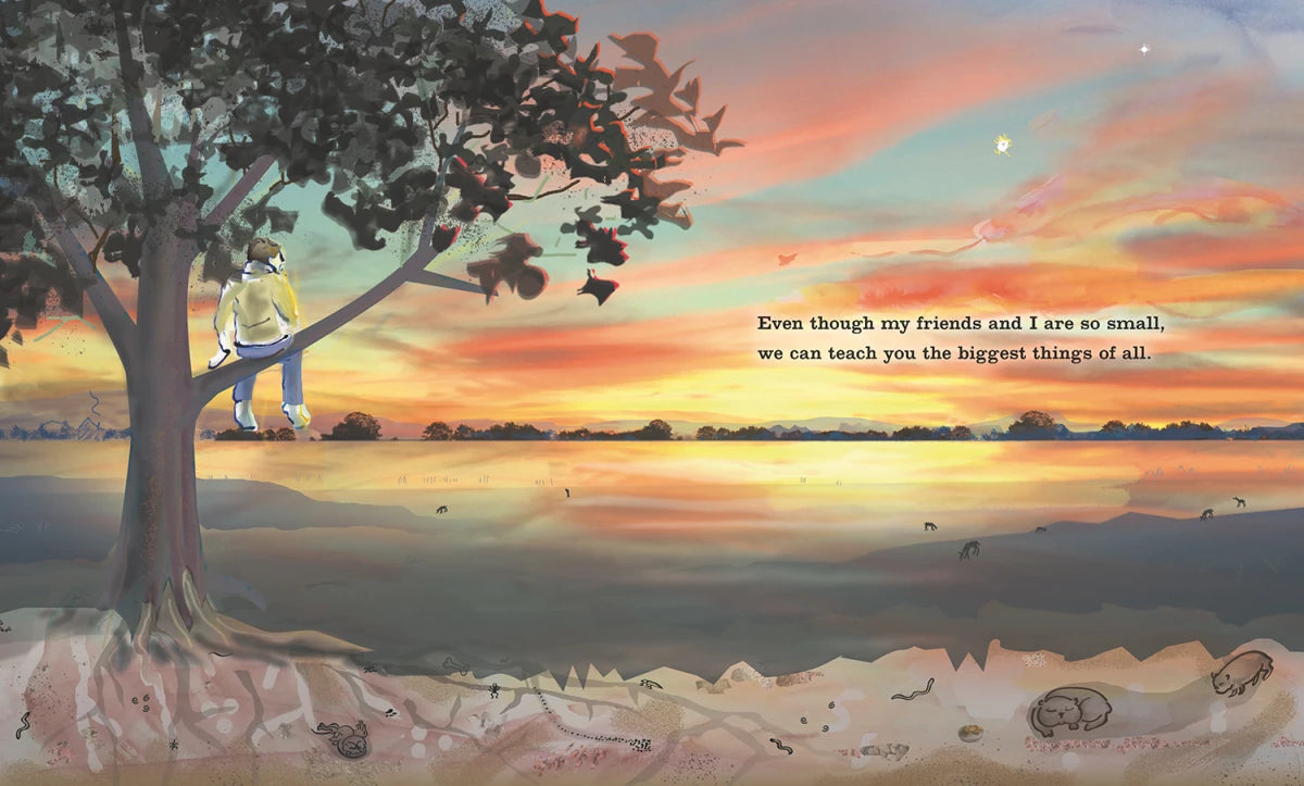 I'm a Neutrino: Tiny Particles in a Big Universe US - Paperback / softback