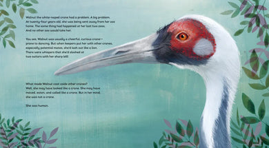 The Crane and the Keeper: How an Endangered Crane Chose a Human as Her Mate US - Hardback