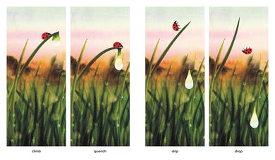 Dawn US - Hardback