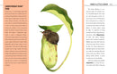 Fantastic Flora: The World’s Biggest, Baddest, and Smelliest Plants US - Hardback