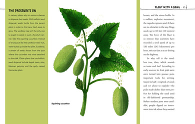 Fantastic Flora: The World’s Biggest, Baddest, and Smelliest Plants US - Hardback
