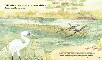 Find Out About Animal Tools US - Hardback
