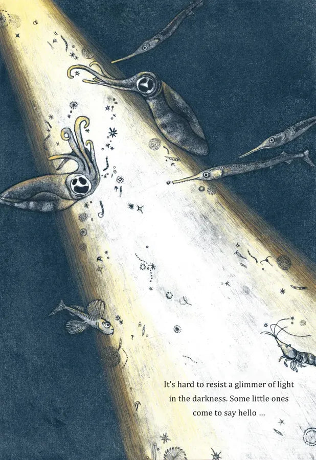 Dive, Dive into the Night Sea US - Hardback