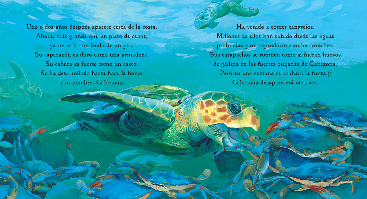 Una tortuguita interior 2 (ISBN 9781536234756)