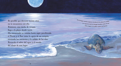 Una tortuguita interior 3 (ISBN 9781536234756)