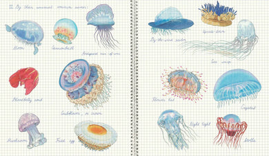 Fourteen Ways of Looking at Jellyfish US - Hardback