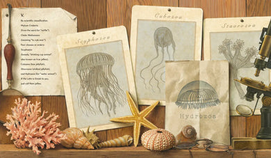 Fourteen Ways of Looking at Jellyfish US - Hardback