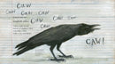 Clever Crow US - Hardback