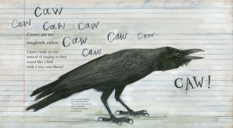 Clever Crow US - Hardback