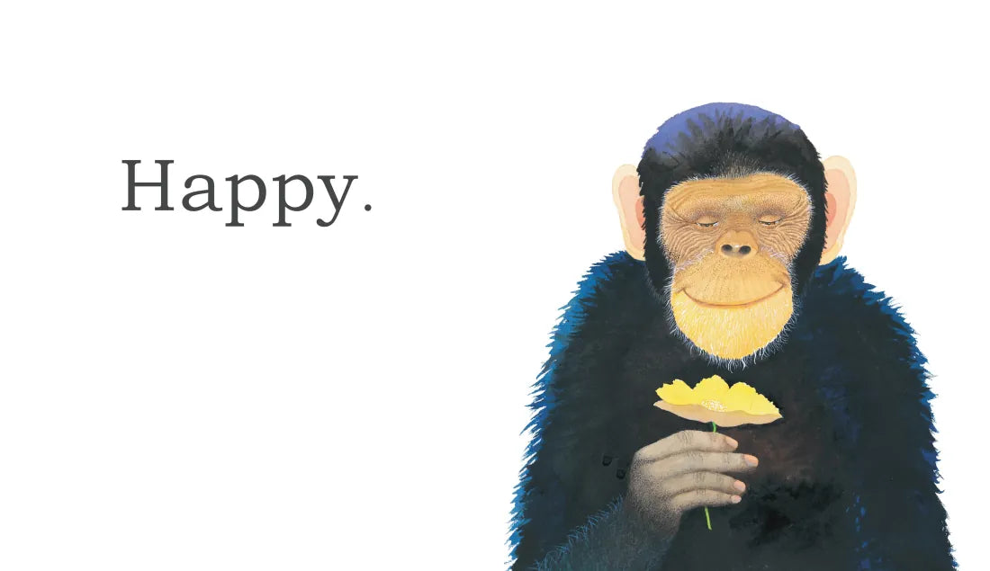 Big Gorilla: A Book of Opposites US - Hardback