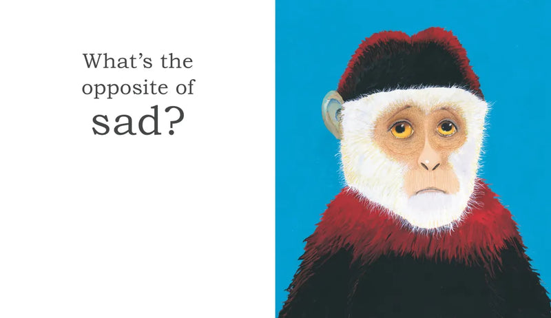 Big Gorilla: A Book of Opposites US - Hardback