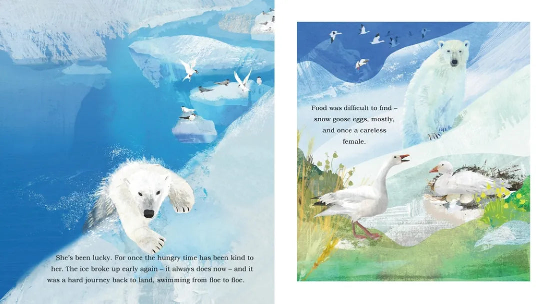 Ice Journey of the Polar Bear US - Hardback
