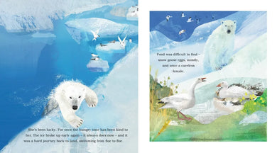 Ice Journey of the Polar Bear US - Hardback