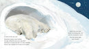 Ice Journey of the Polar Bear US - Hardback