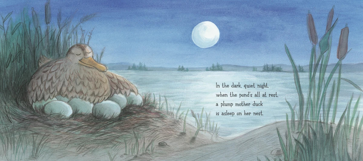 Seven Little Ducklings US - Hardback