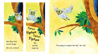 Tiny Owl's Scary Day US - Hardback